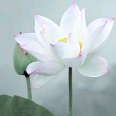 huanhe